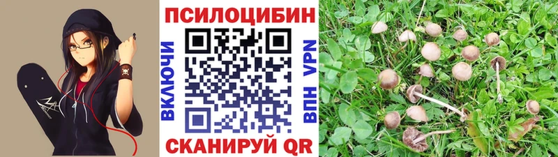 Псилоцибиновые грибы мицелий  где можно купить   Казань 